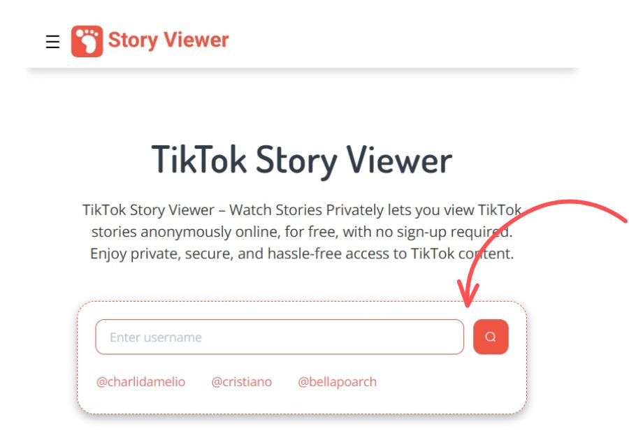 TikTok-Story-Viewer