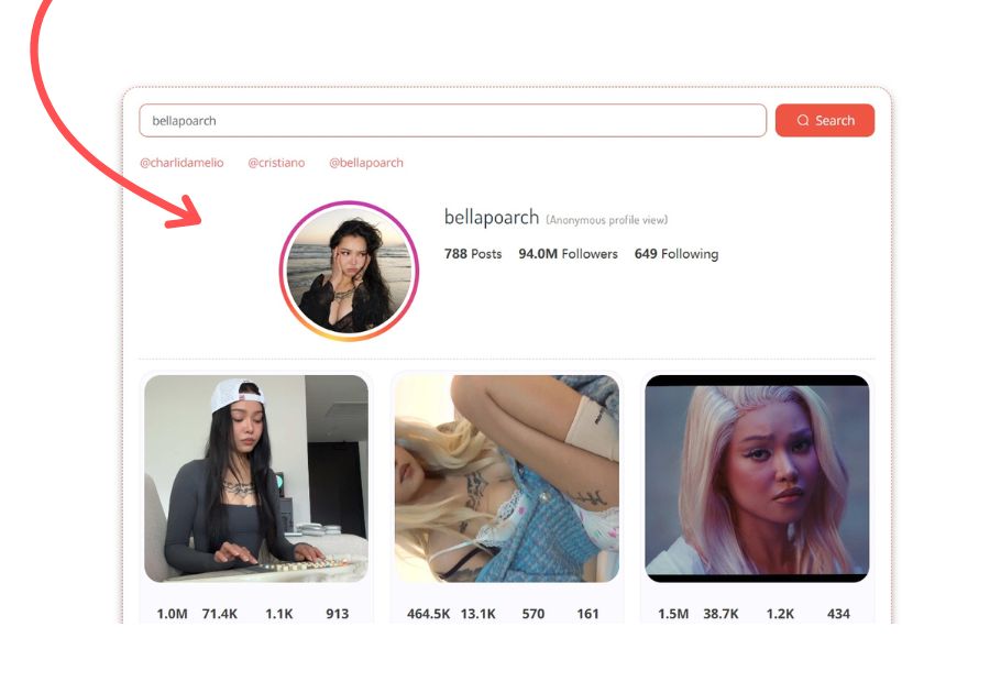 View-TikTok-stories-Anonymously-online-for-free