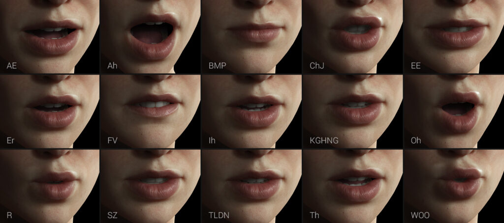 how lip-sync-video works