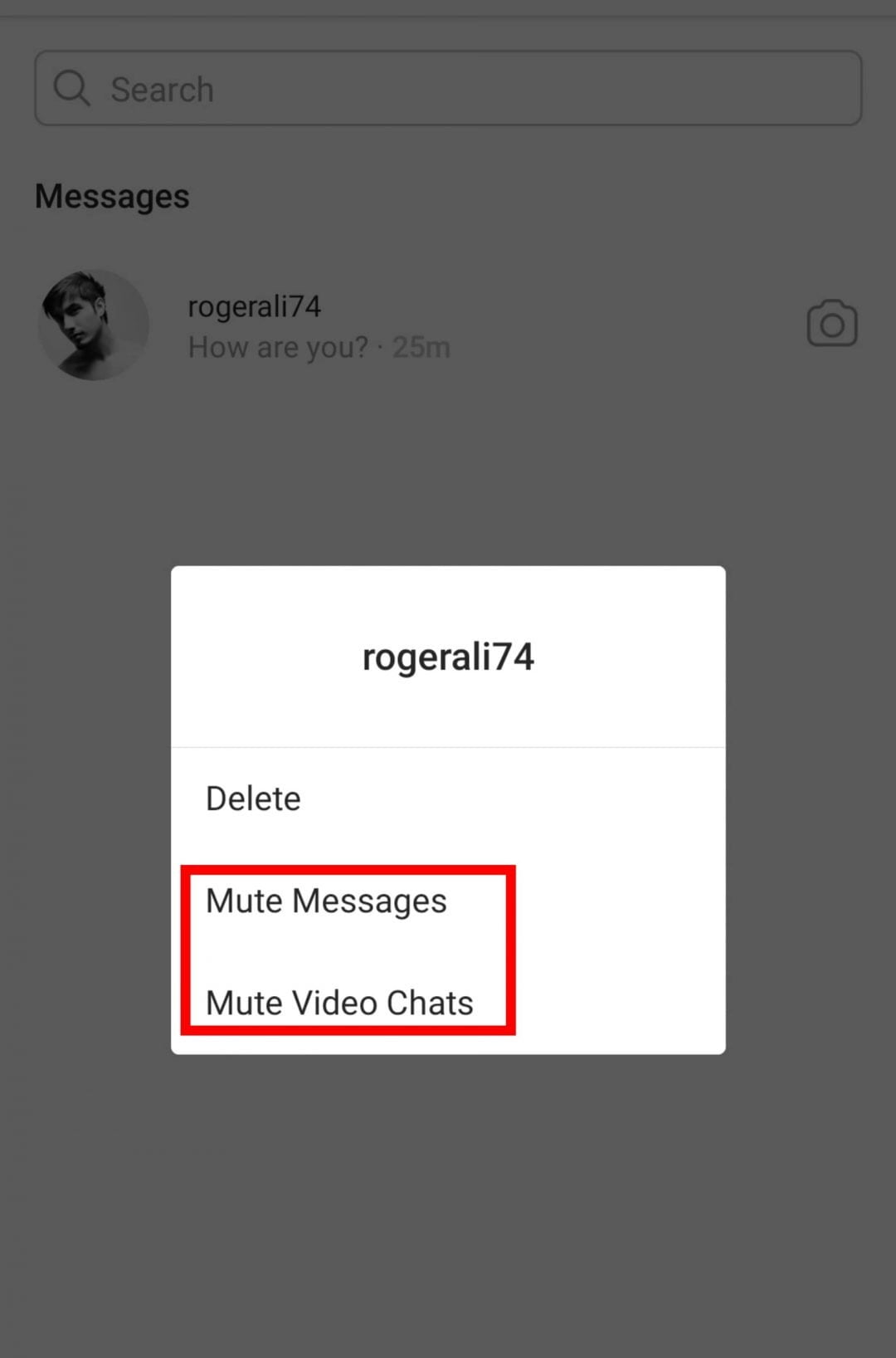 Mute Direct Messages 