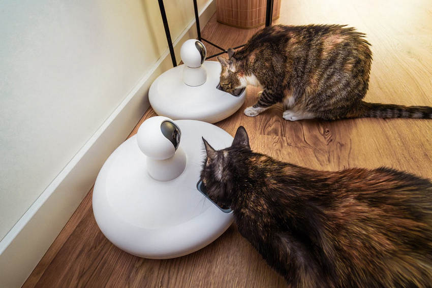 smart feeders