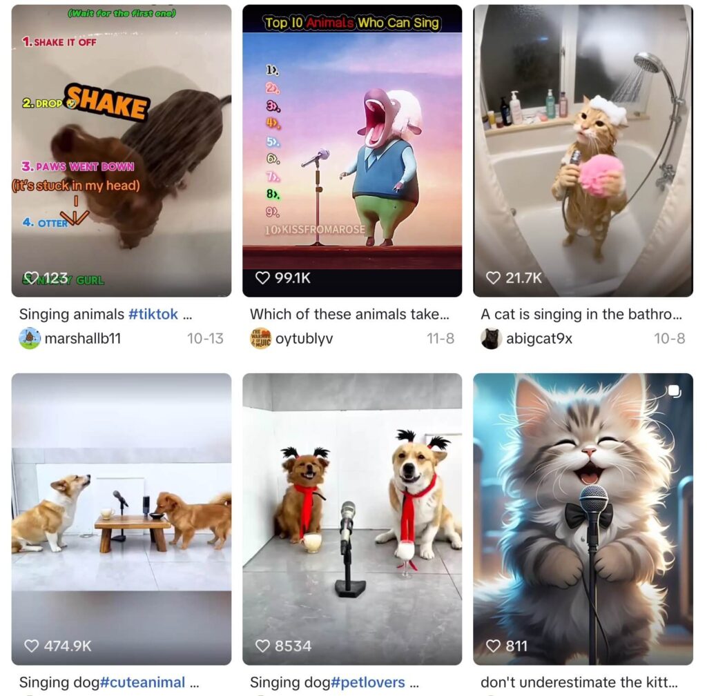 Viral singing animals videos on TikTok