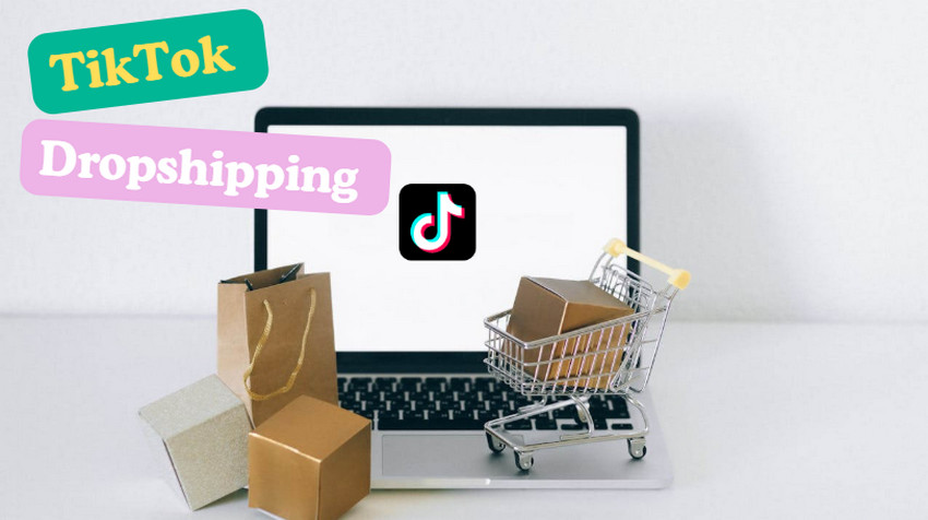 tiktok dropshipping