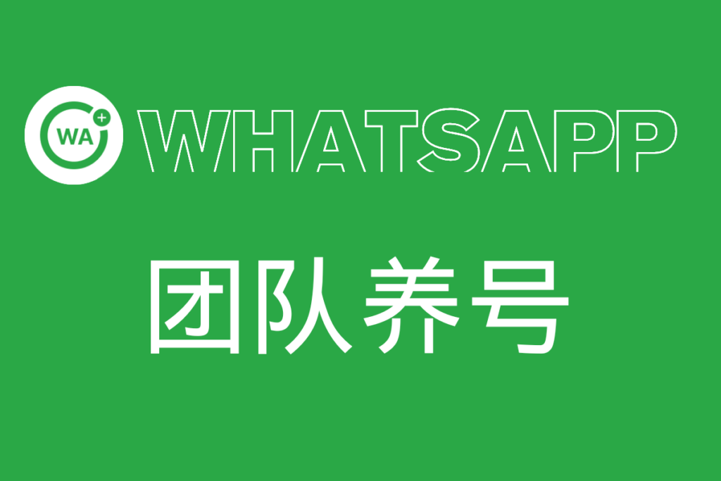 WhatsApp团队养号