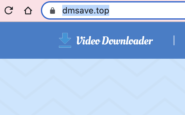 video downloader