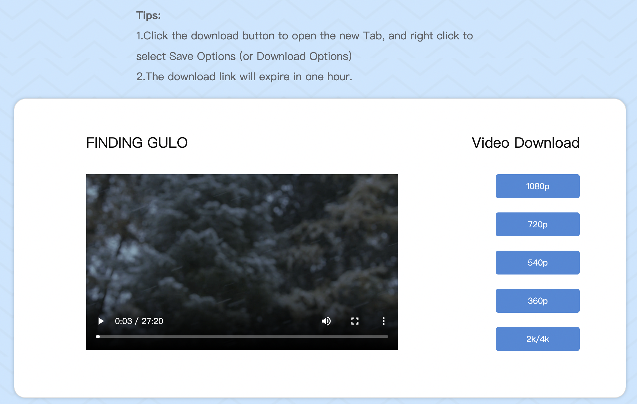 video downloader