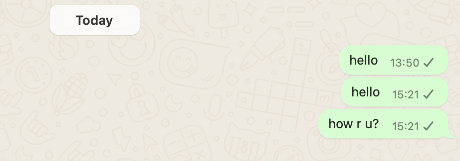 One Check Mark on WhatsApp