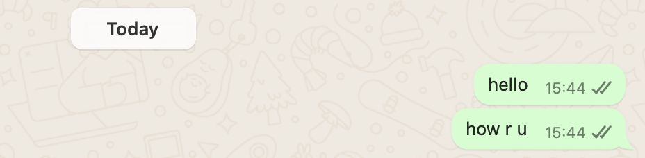 Two gray marks on WhatsApp