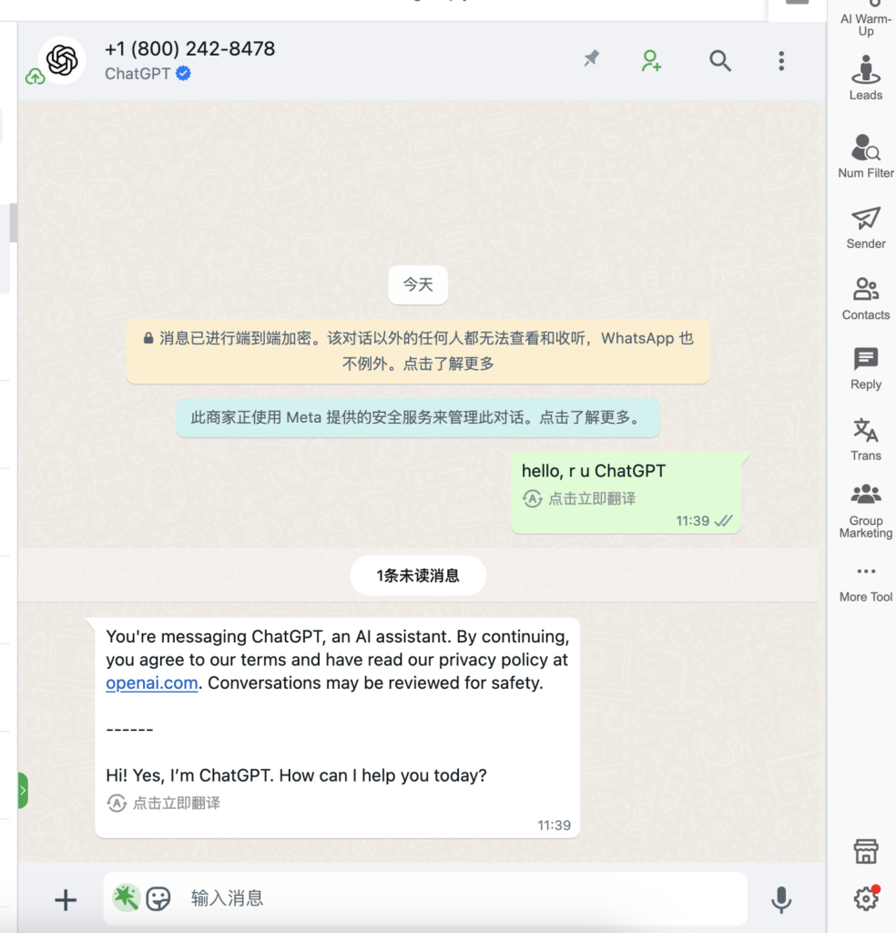 chat with ChatGPT on WhatsApp