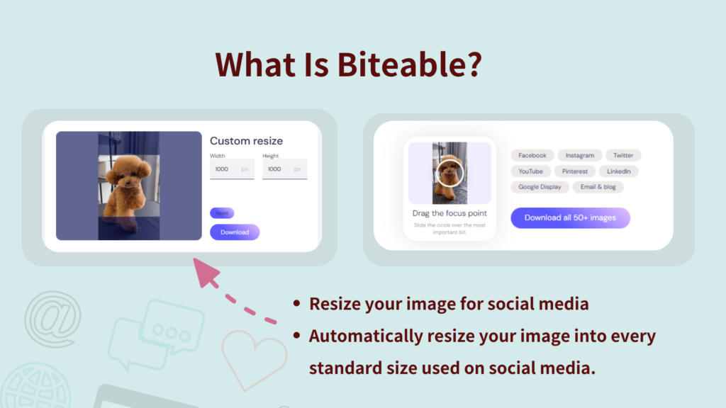 What Is Biteable?
