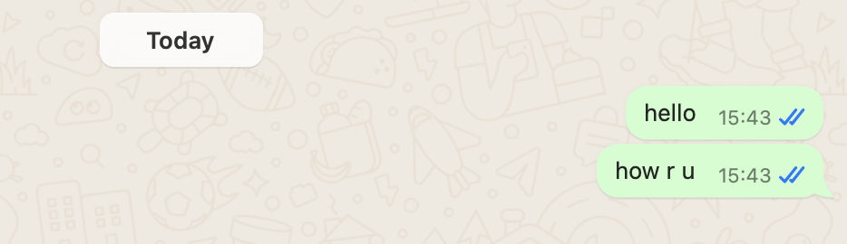 Two blue marks on WhatsApp