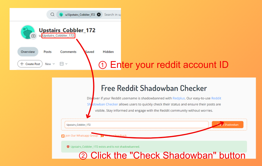 Method 1: Using Reddit Shadowban Checker Tools - Redplus AI