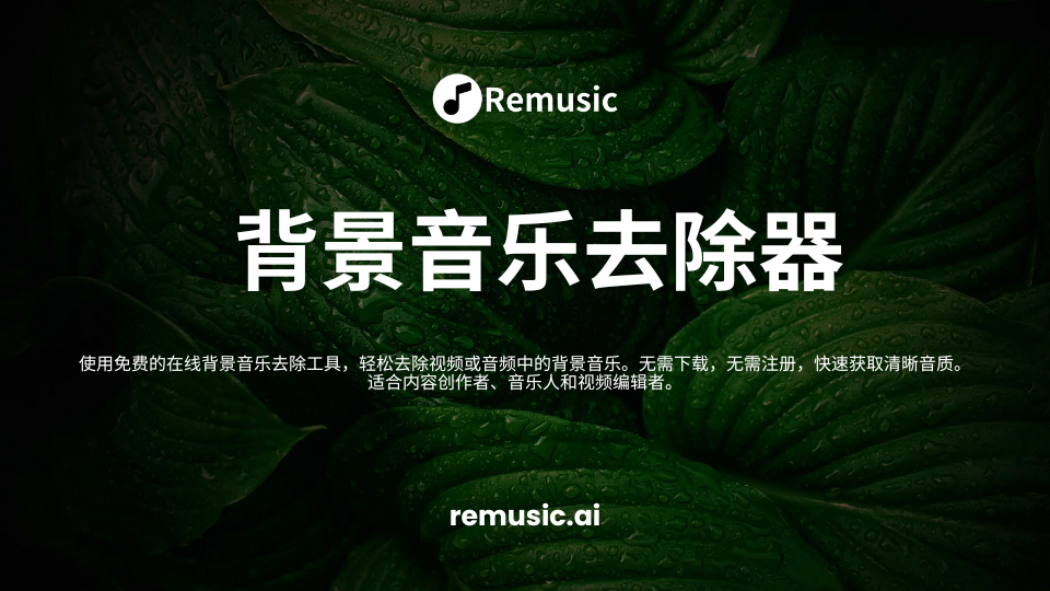 在线免费背景音乐去除器 - Remusic