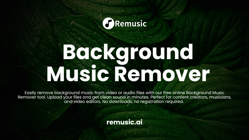 Background Music Remover Online for Free - Remusic