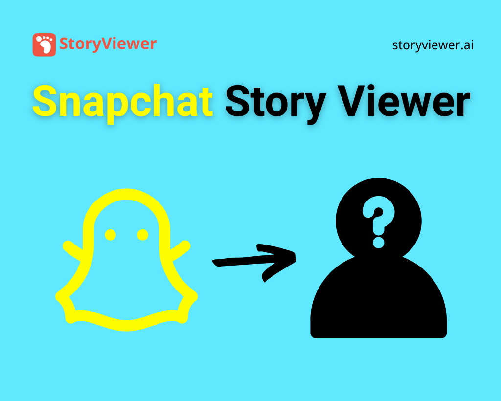 Snapchat Story Viewer