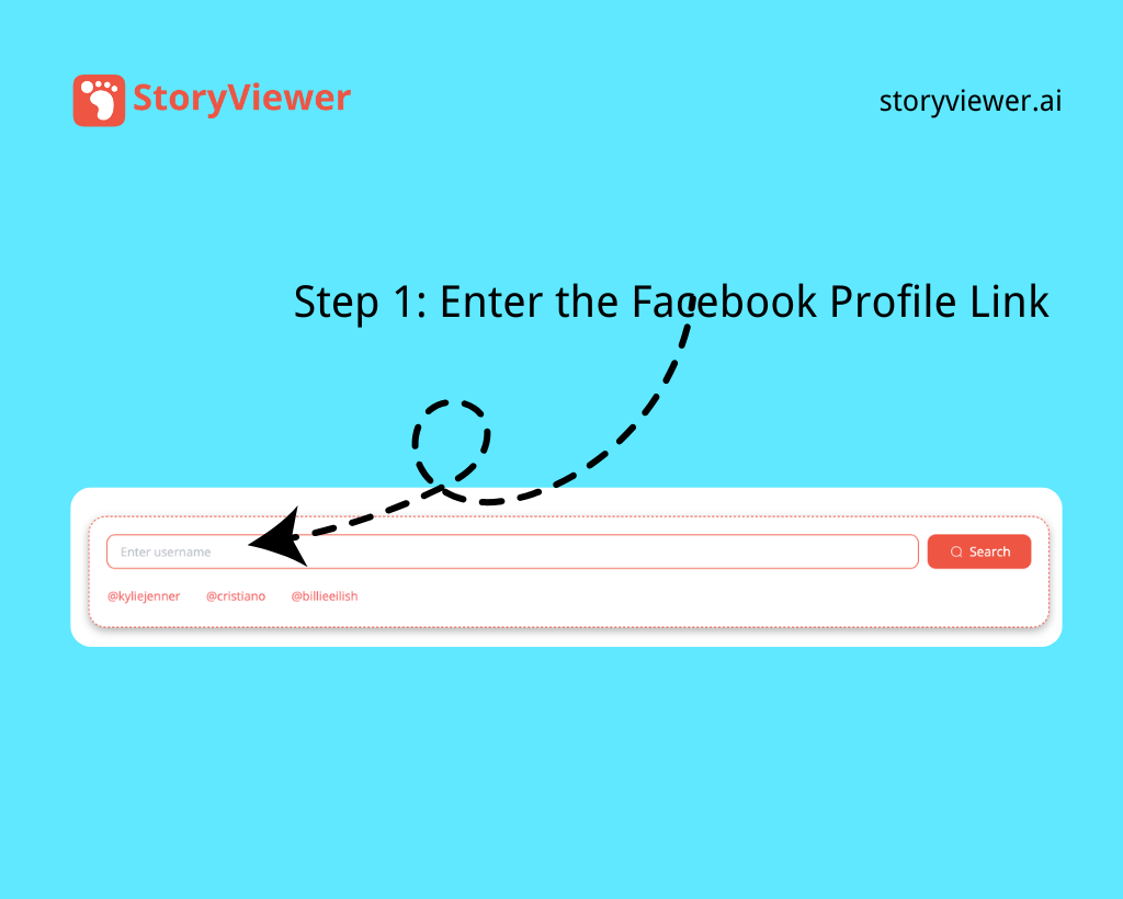 Step 1: Enter the Username or Profile Link