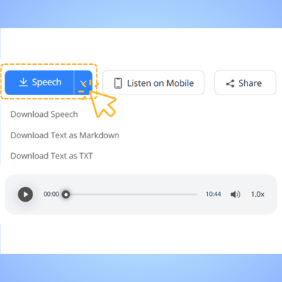 Step 3: Convert and Download Audio