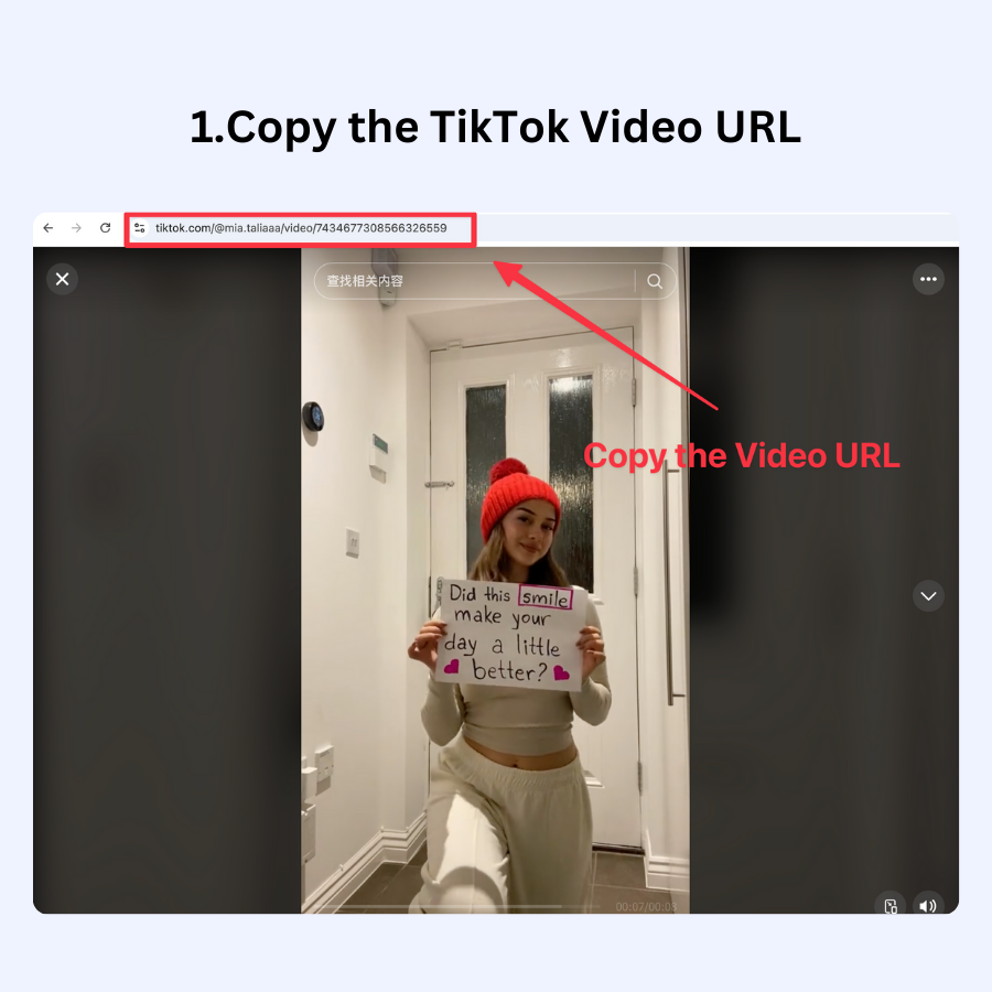 TikTok Video Downloader Online