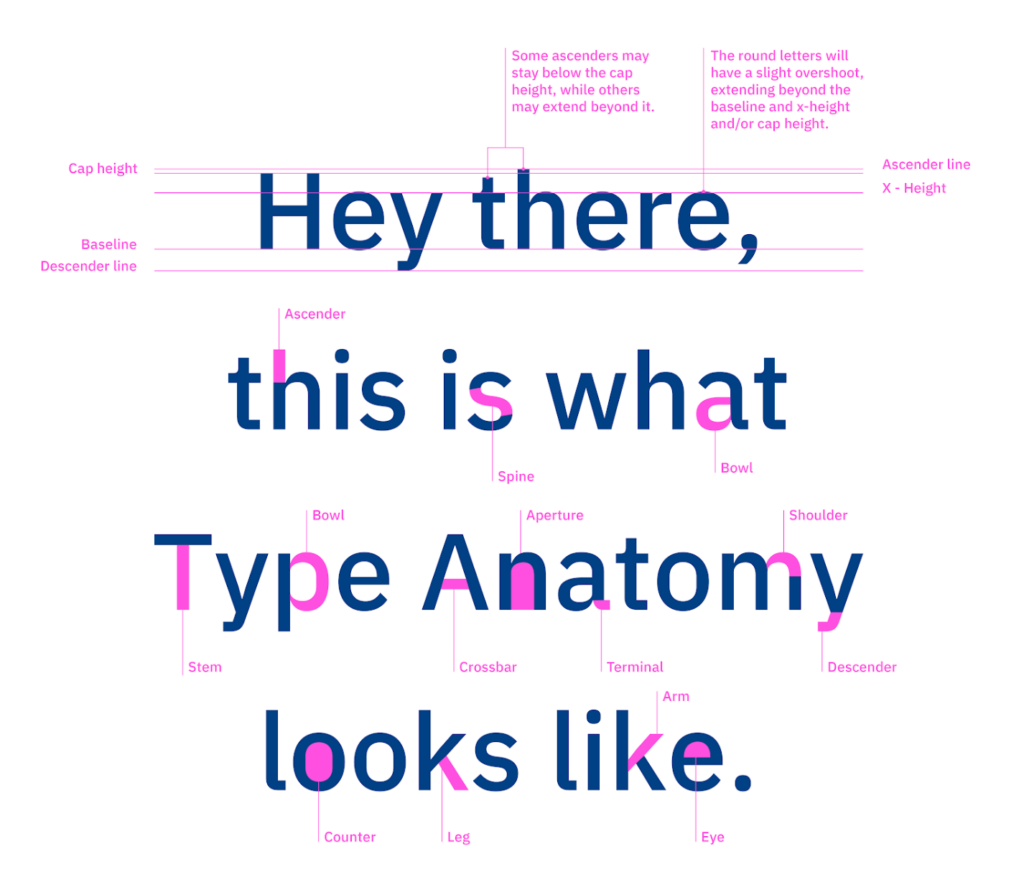 Typography and Text Elements - VDraw