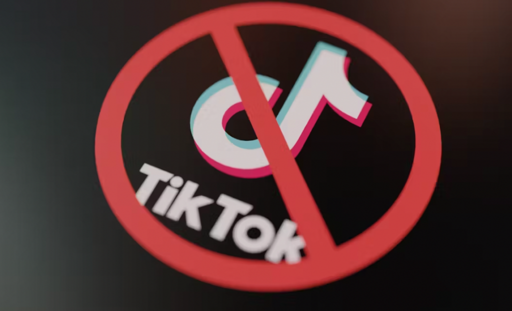 Why is the TikTok Ban Drawing So Much Attention? - EasyComment