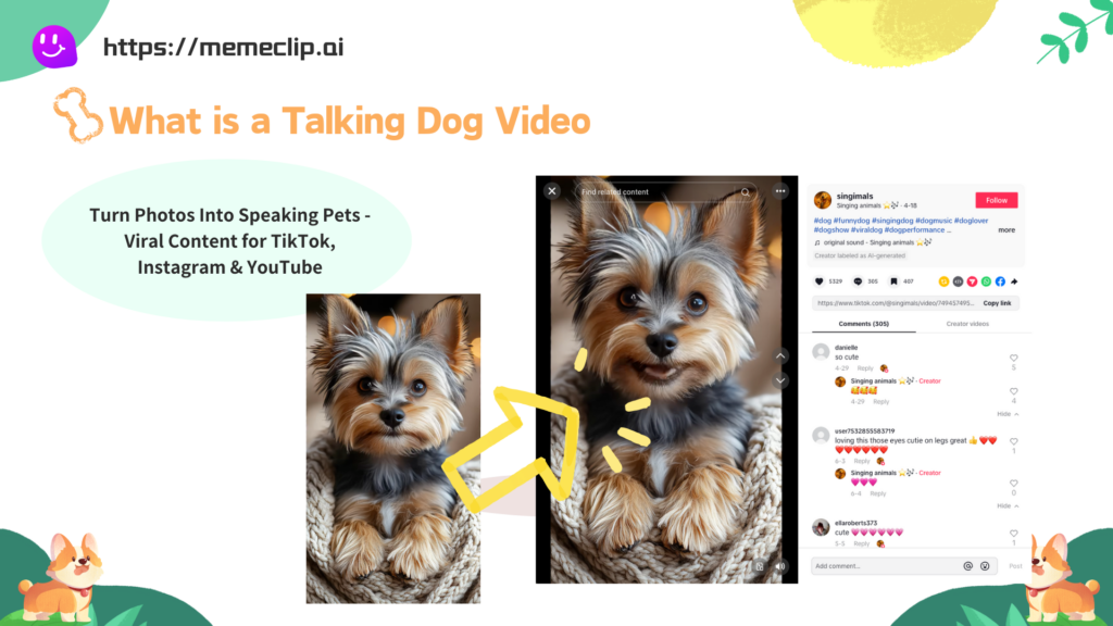 What is a talking dog video - MemeClip