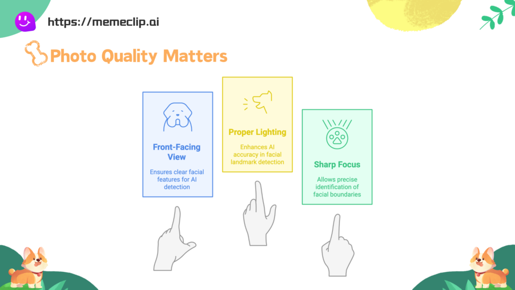 Photo Quality for Talking Dog Videos - MemeClip