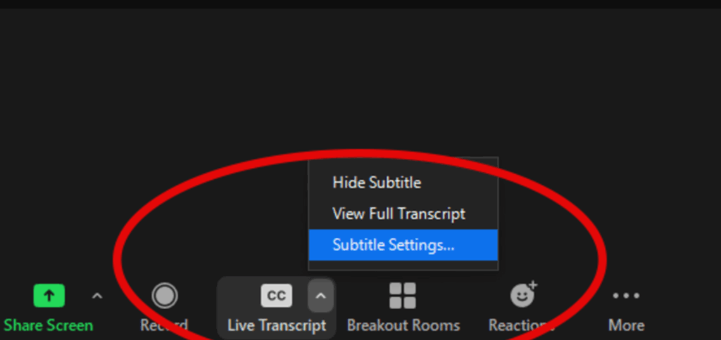 zoom subtitle translate