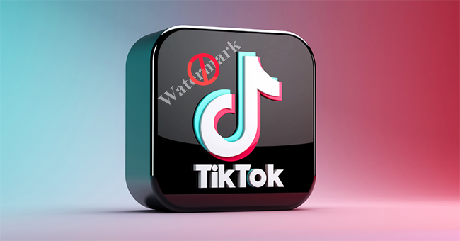 remove tiktok watermark