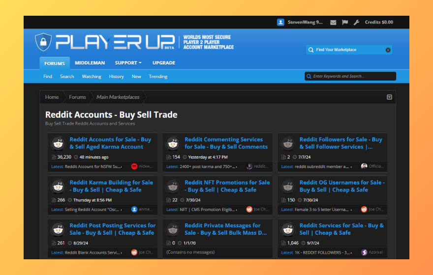 Top 5 Websites to Buy Reddit Accounts - PlayerUp | Redplus AI