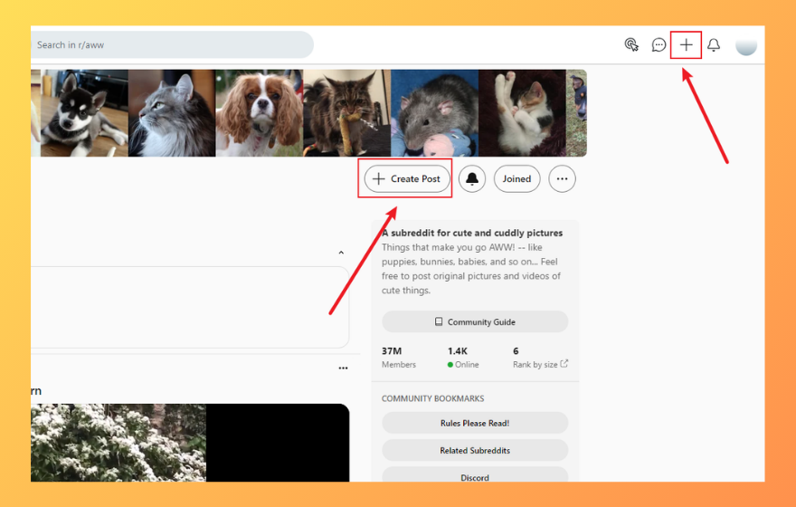 How to Post on Reddit on Desktop? - Step 1: Click Create Post  | Redplus AI