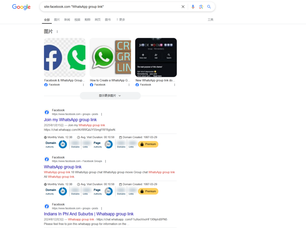 在Google搜索Facebook上的WhatsApp群组