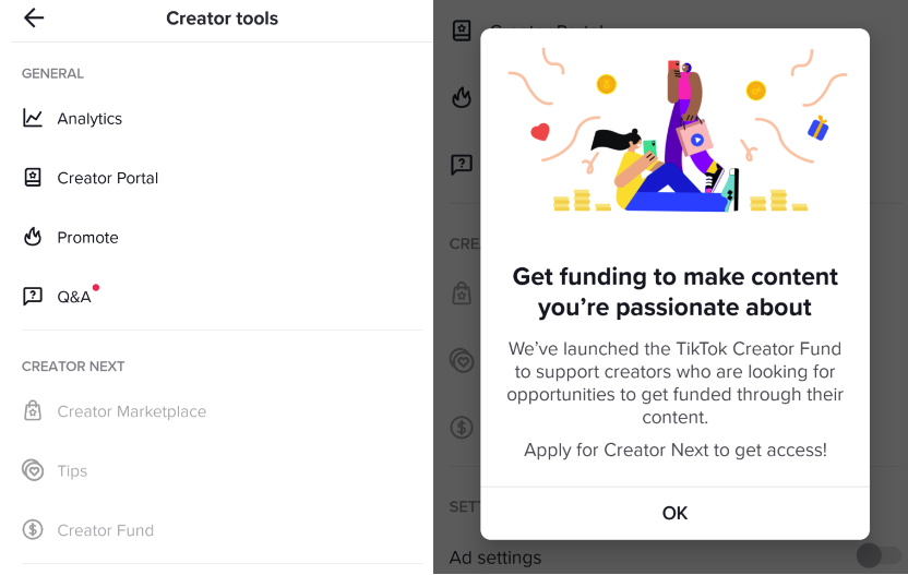 TikTok Creator Fund Program