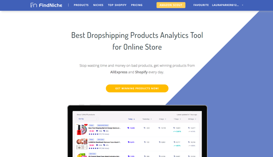 find dropshipping niches with FindNiche