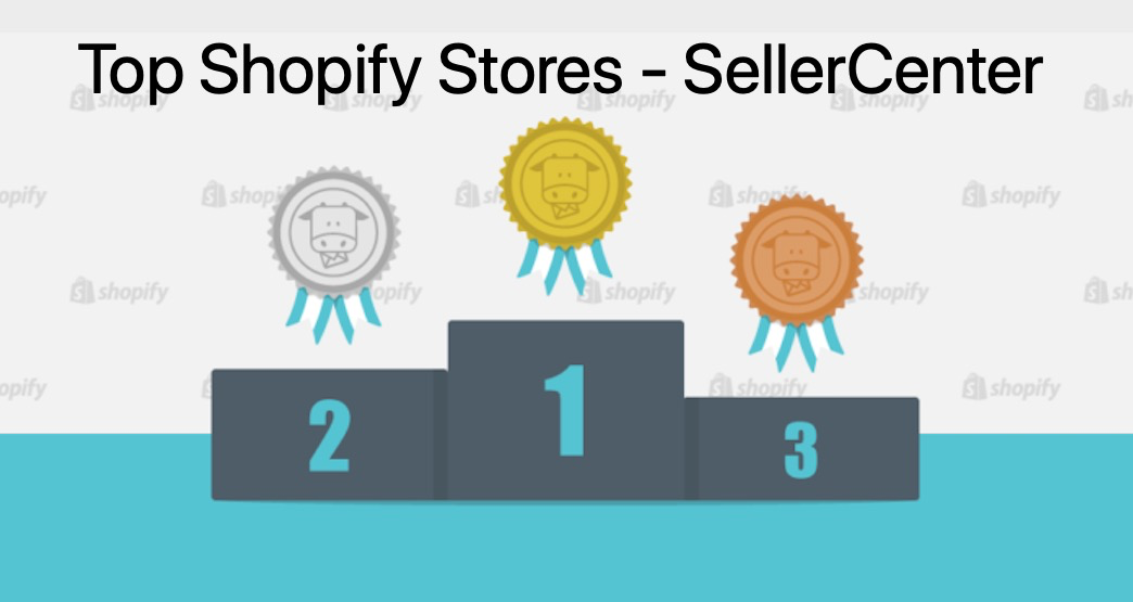 50+ Top Shopify Stores for Inspiration 2021 – SellerCenter