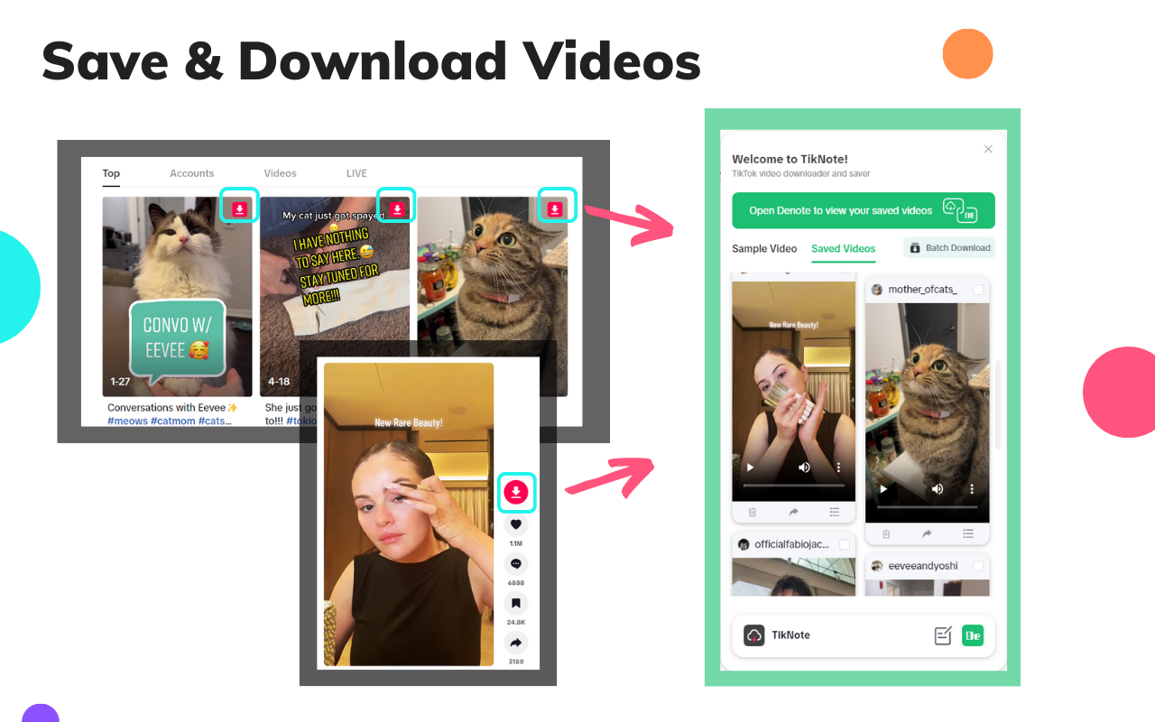 tiktok video downloader extension