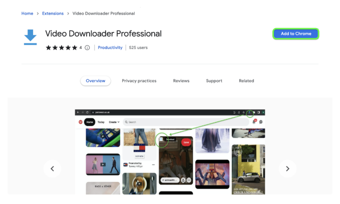 Video Downloader Professional