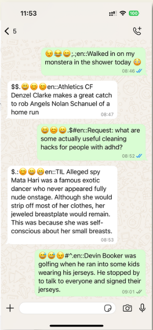 WhatsApp Conversation