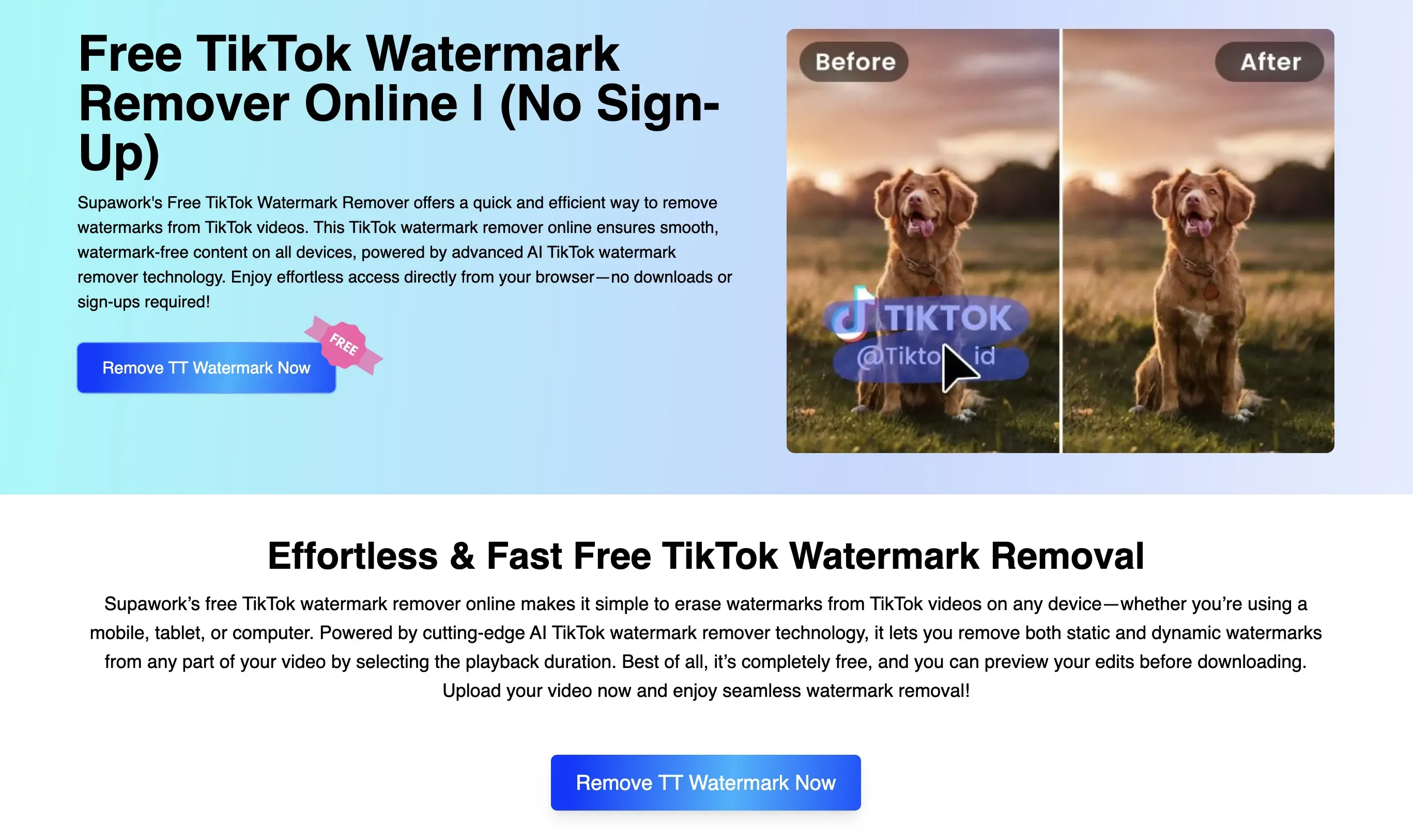 TikTok Watermark Remover