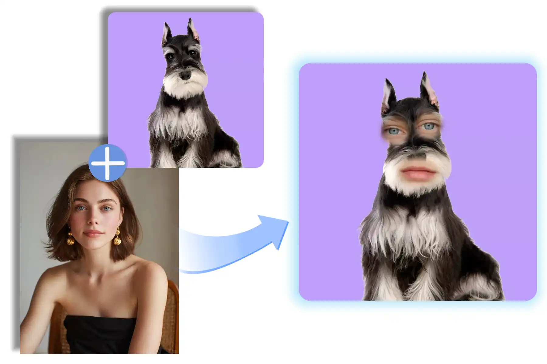 Create Hilarious Memes