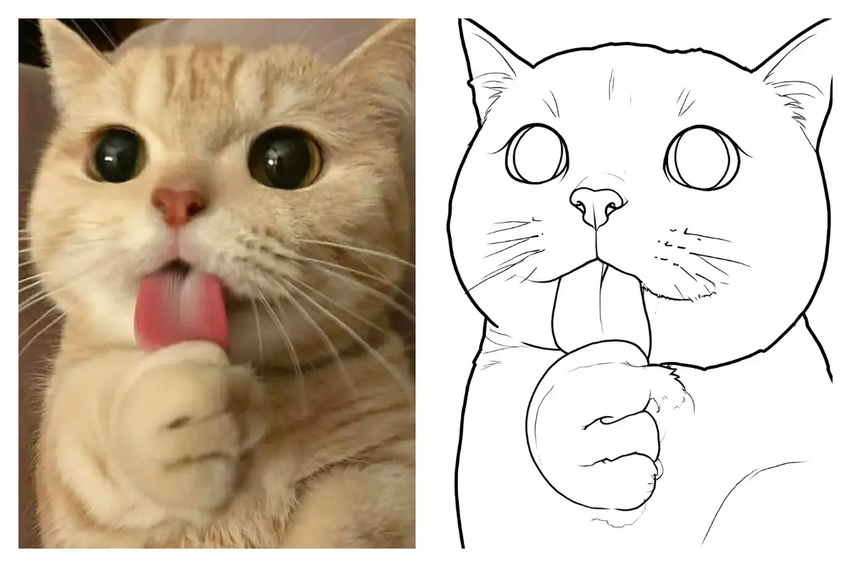 Pet photo to coloring page