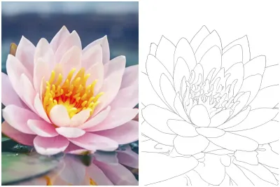 natural plant photo to coloring page